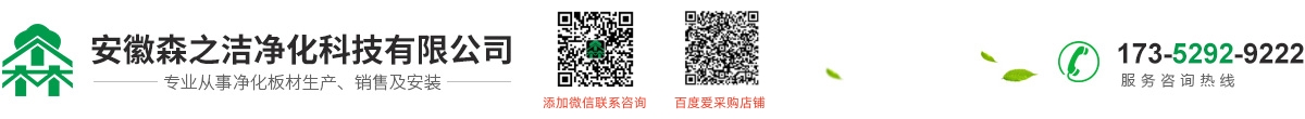 安徽森之潔凈化科技有限公司